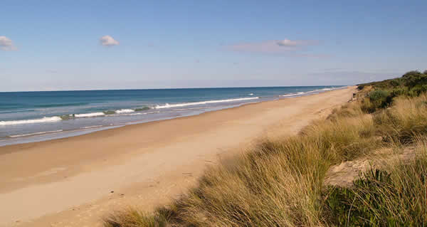 the 90 mile beach